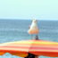 image10